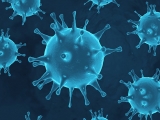 coronavirus website 2